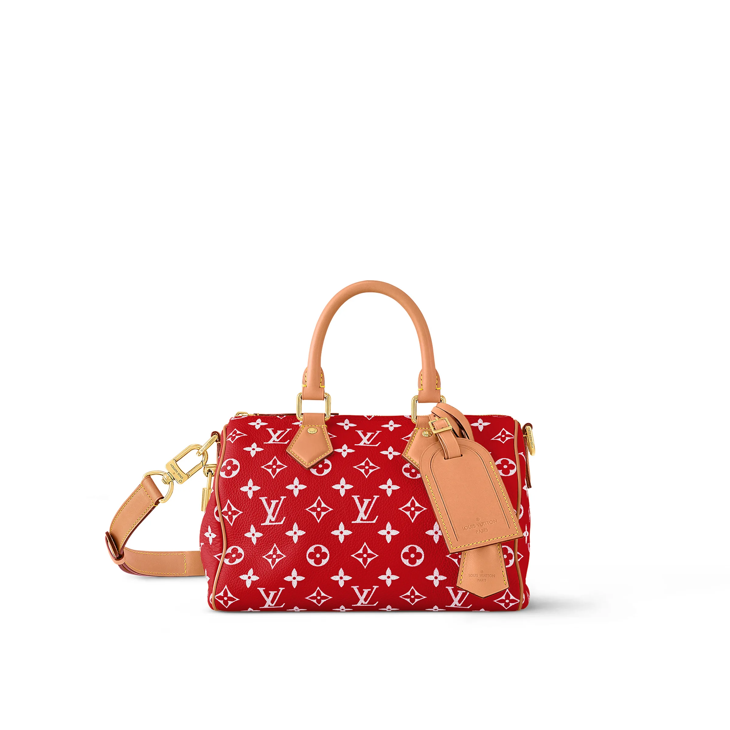Louis Vuitton Speedy P9 Bandoulière 25 M24425