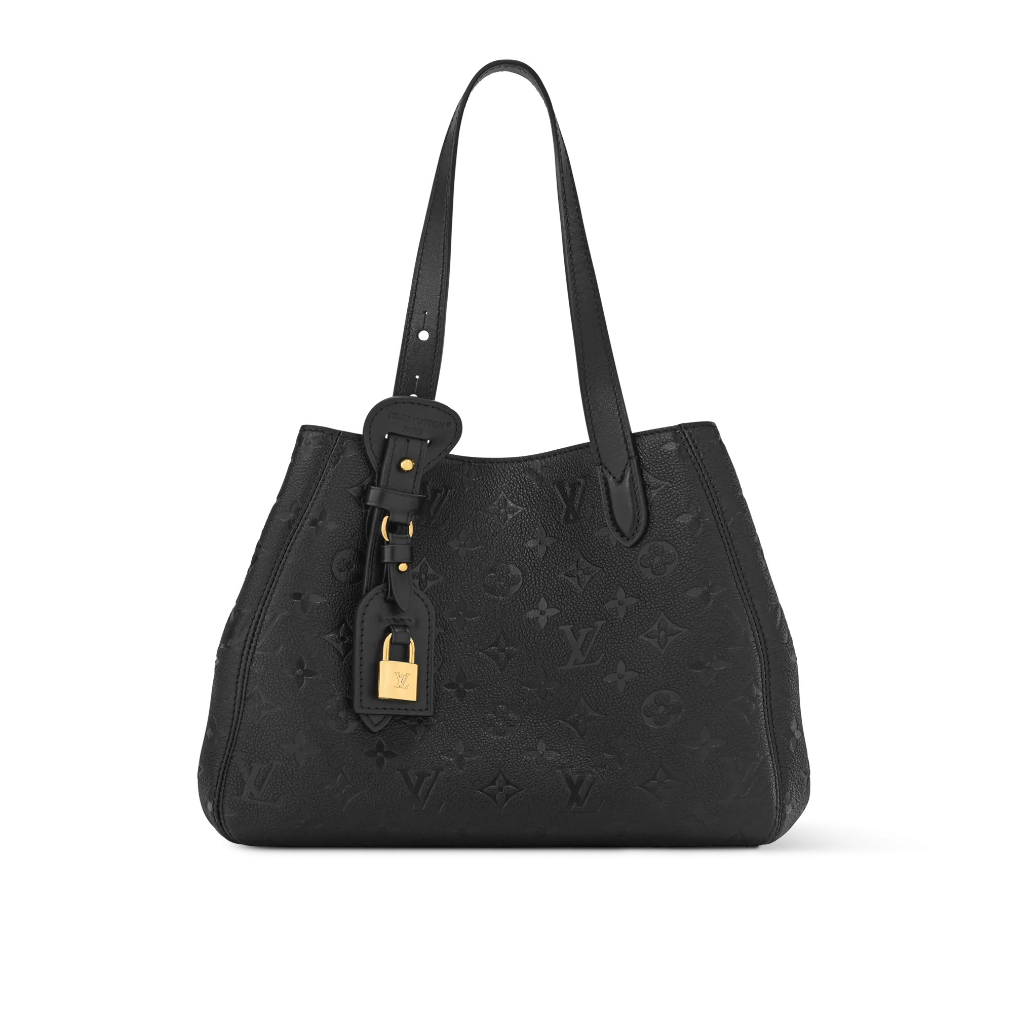 Louis Vuitton All In One PM M25858